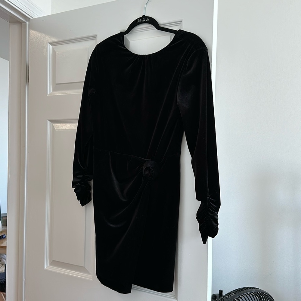 Zara Long Sleve Velvet Mini Dress
